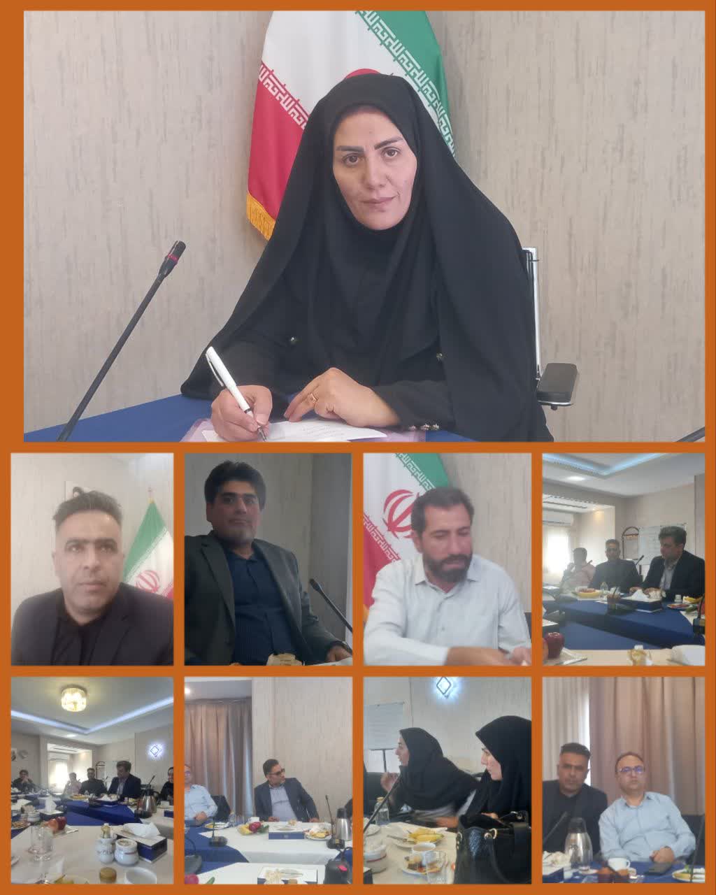 مدیرعامل خانه مطبوعات و خبرگزاری های کشور منصوب شد.
