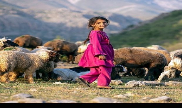 برگزاری جشنواره «طعم کتاب با عشایر» در پلدختر