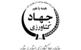جهاد لرستان  یا سفارش خانه نمایندگان