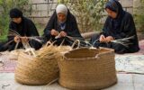 زنان اشتغال زایی و سرمایه گذاری برای تولید