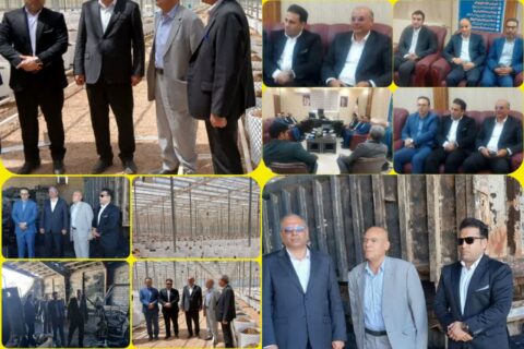 روز پُرکار، پیام عالیخانی مدیر شهرک های کشاورزی استان لرستان در شهرستان ازنا: