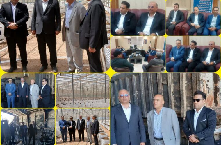 روز پُرکار، پیام عالیخانی مدیر شهرک های کشاورزی استان لرستان در شهرستان ازنا: