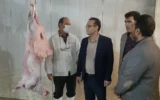 دادستان بروجرد از کشتارگاه دام بازدید کرد؛ تأکید بر ارتقای بهداشت و رفع نواقص